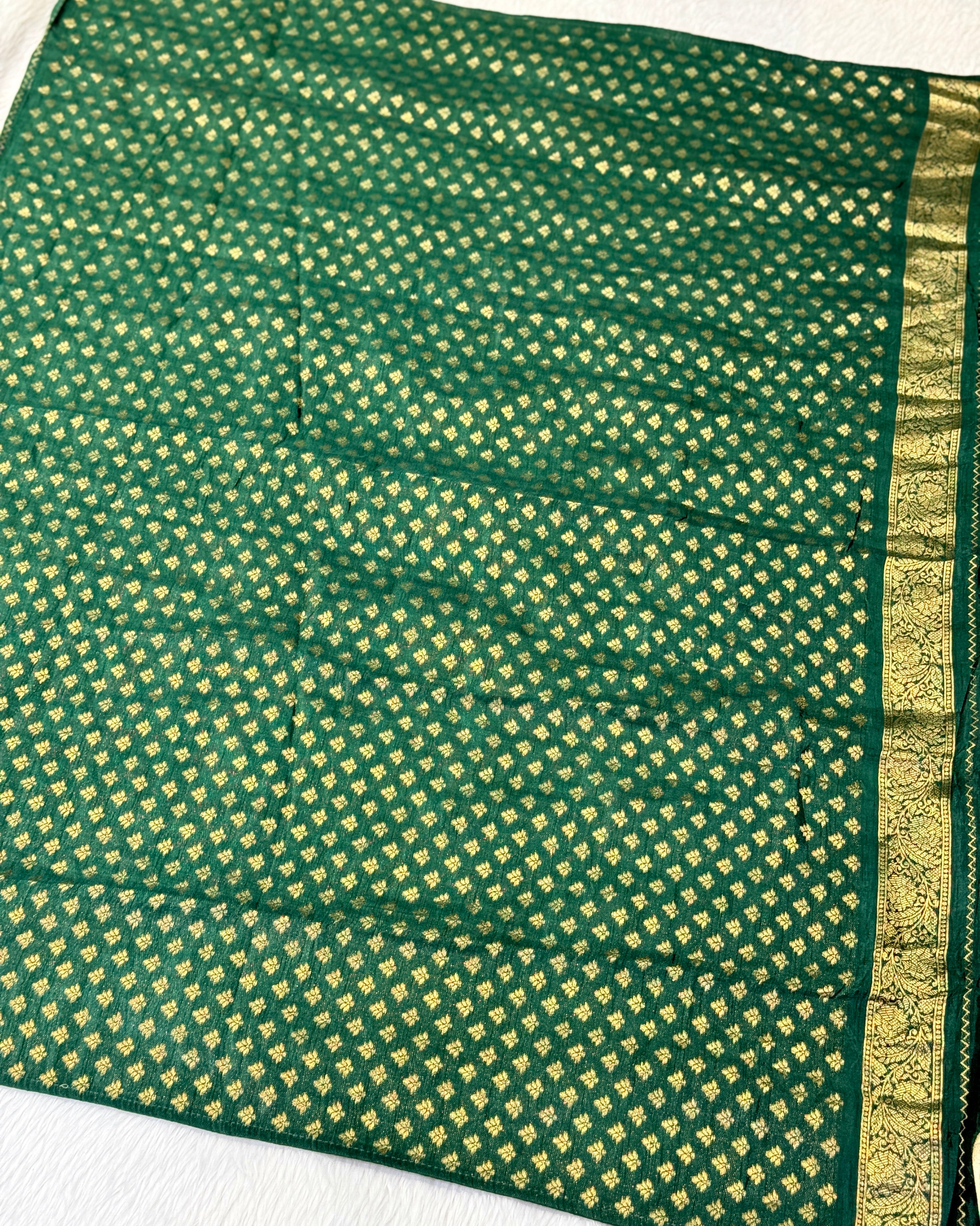 Pashmina - Bandhani Saree