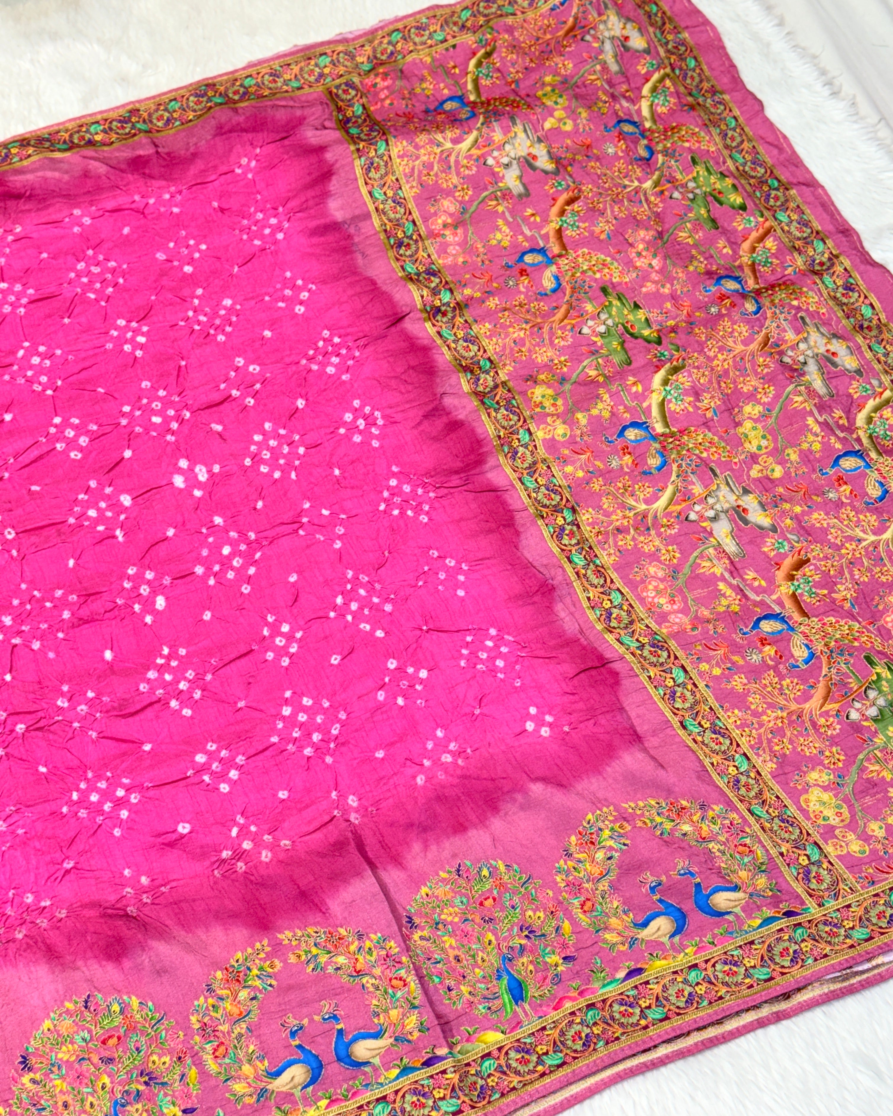 Pashmina - Bandhani Saree