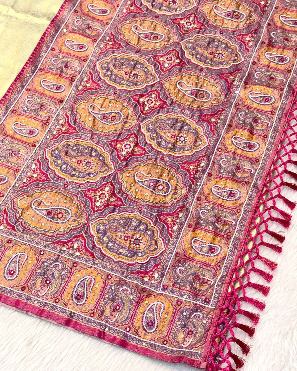 Meenakari Saree With Hand Embroidery